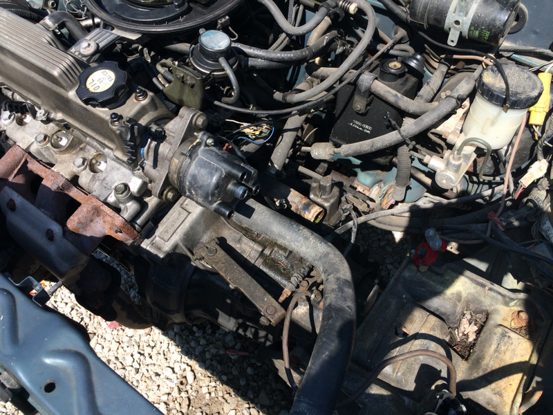 Illustration for article titled To the junkyard this morning for 1/2 off sale.